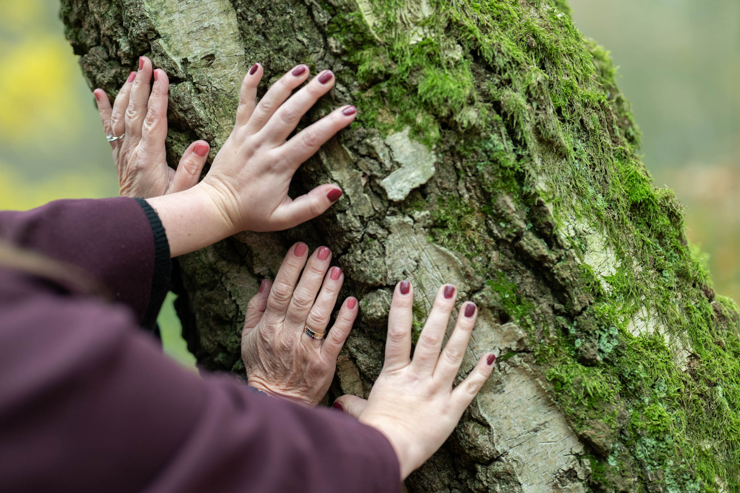 Supervisie en Intervisie